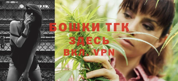 apvp Осинники