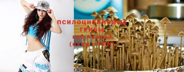тгк Покачи