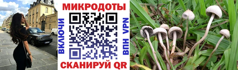 Псилоцибиновые грибы Psilocybine cubensis  что такое наркотик  Сальск 