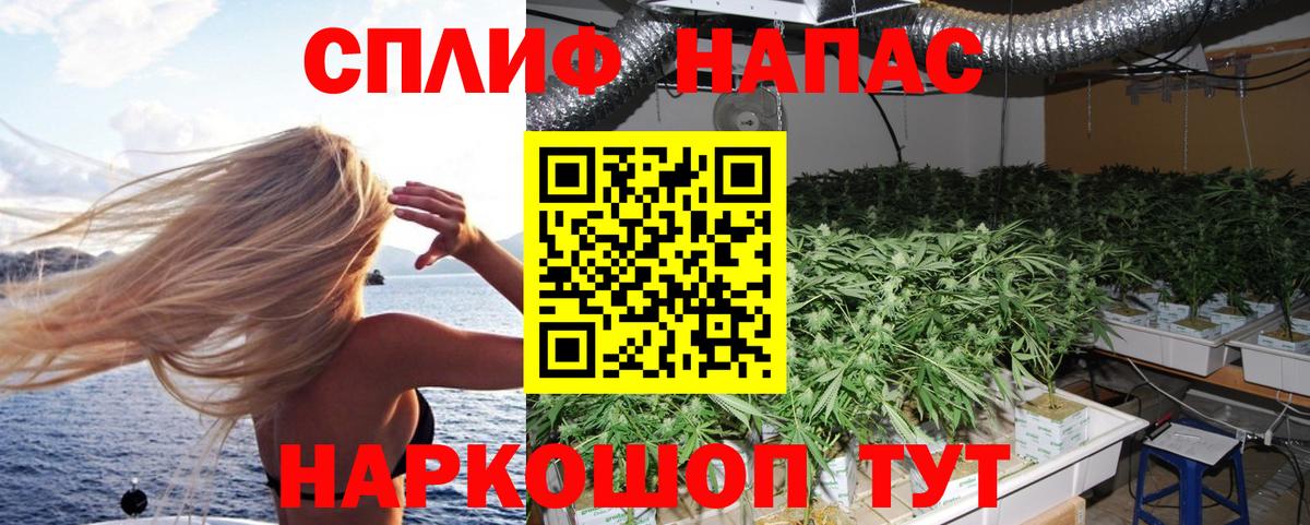 Бошки марихуана планчик Сальск